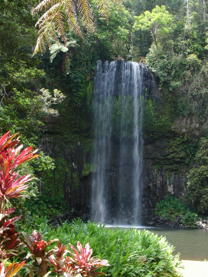 Millaa Millaa falls