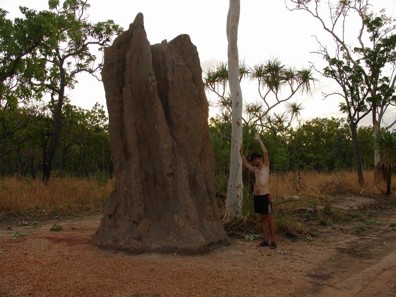 Veeeeelike termitiste - Kakadu NP