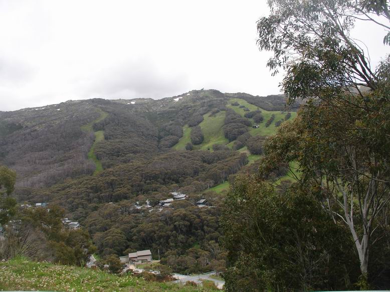 Lyzarske stredisko Thredbo (mimochodem zalozene cechem)