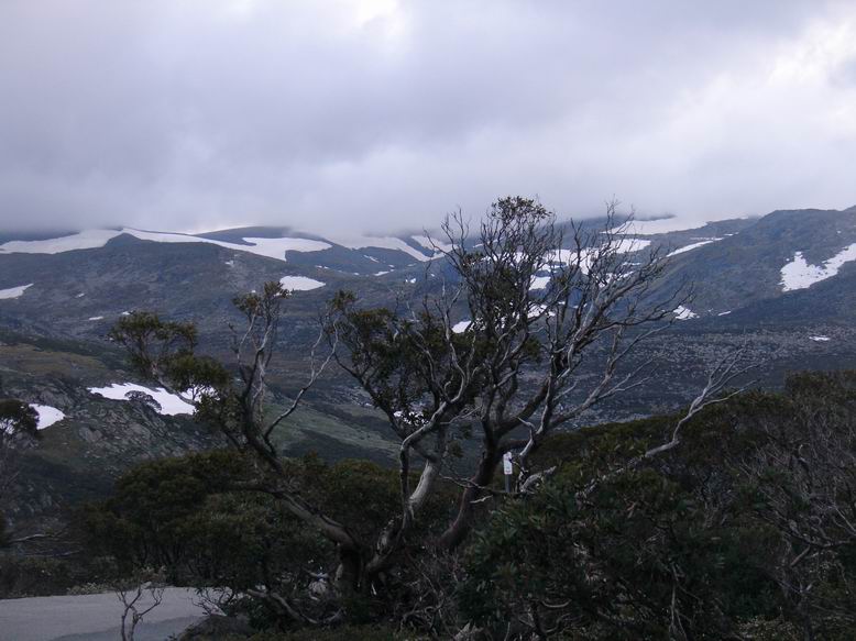 Brzy rano jsme vyrazili na vylet na nejvyssi vrchol Australie - Mount Kosciuszko.