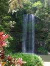 Millaa Millaa falls