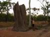 Veeeeelike termitiste - Kakadu NP