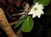 around_aus_243.JPG