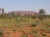 "Povinne" Uluru