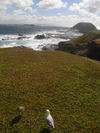 around_aus_557.JPG