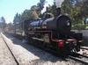 Blue Mountains a slavny Zig Zag railway