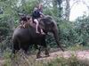 Normalne je zakazano ridit slona osobne ale co by pruvodci neudelali, je nejak pravidla moc nevzrusuji.