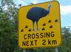 australian_signs_007.JPG