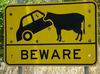 australian_signs_011.JPG