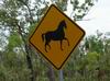 australian_signs_018.JPG