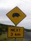 australian_signs_048.JPG