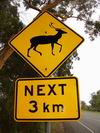 australian_signs_059.JPG