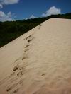 Fraser_Island_044.JPG