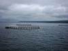 Tasmania_051.JPG