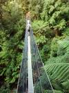 Tasmania_089.JPG