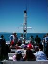 whale_watching_008.JPG