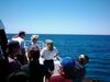 whale_watching_016.JPG