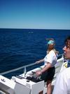 whale_watching_041.JPG