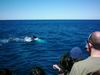 whale_watching_042.JPG