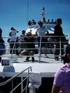 whale_watching_048.JPG