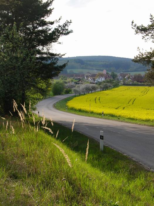 Vsude byly krasne cesty obklopene repkovymi poli.