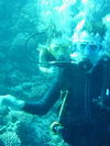 Egypt_Diving_021.JPG