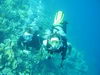 Egypt_Diving_040.JPG