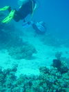 Egypt_Diving_082.JPG