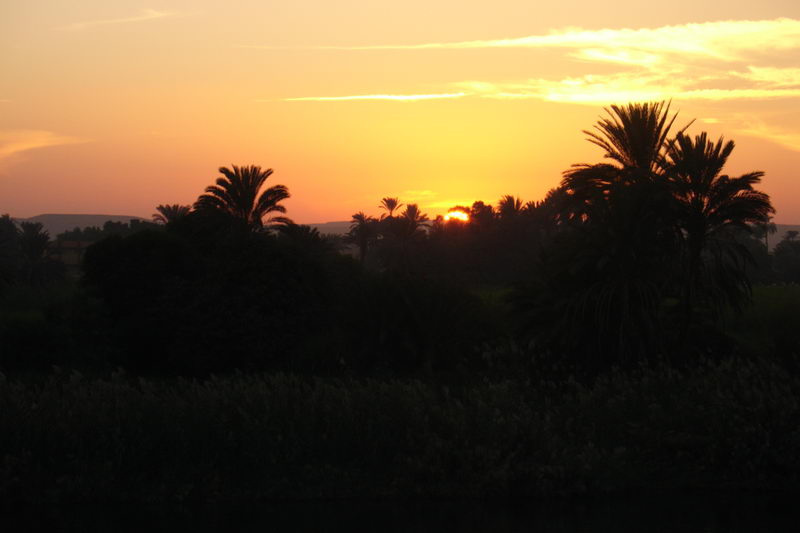 Zapad na Nilu