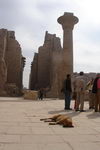 The Temple of Karnak