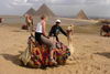 Jizda na velbloudech okolo pyramid je nejlevnejsi v Egypte hlavne kvuli konkurenci. Stoji asi 100,- Kc ale trva min jak 15 minut coz bylo slibeno.