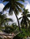 Fiji_043.JPG