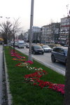 Istanbul_Turkey_019.JPG