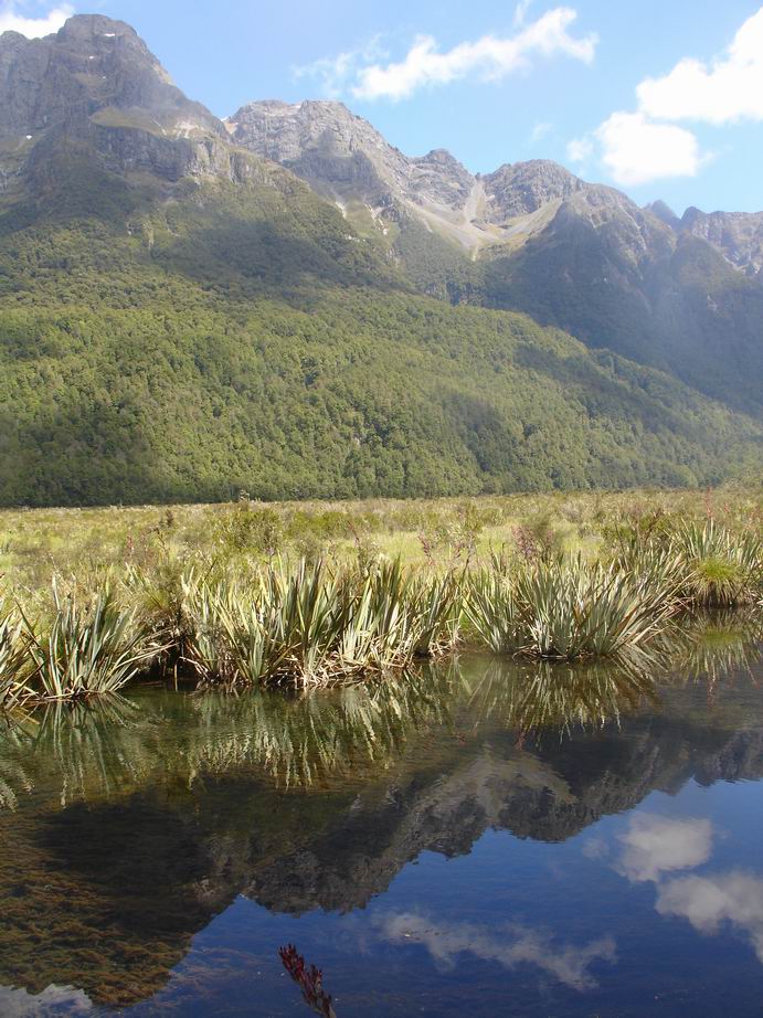 Mirror lakes po ceste na Milford Sound.