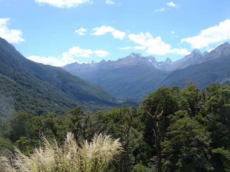 Cesta k Milford Sound je klikata a az do vysky pres 1000m.