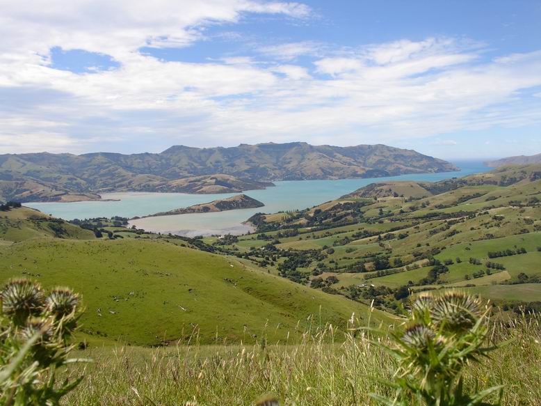 A to uz je posledni pohled na zaliv Akaroa.