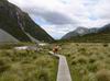 New_Zealand_0022.JPG