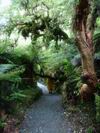 New_Zealand_0084.JPG