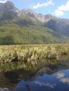 Mirror lakes po ceste na Milford Sound.