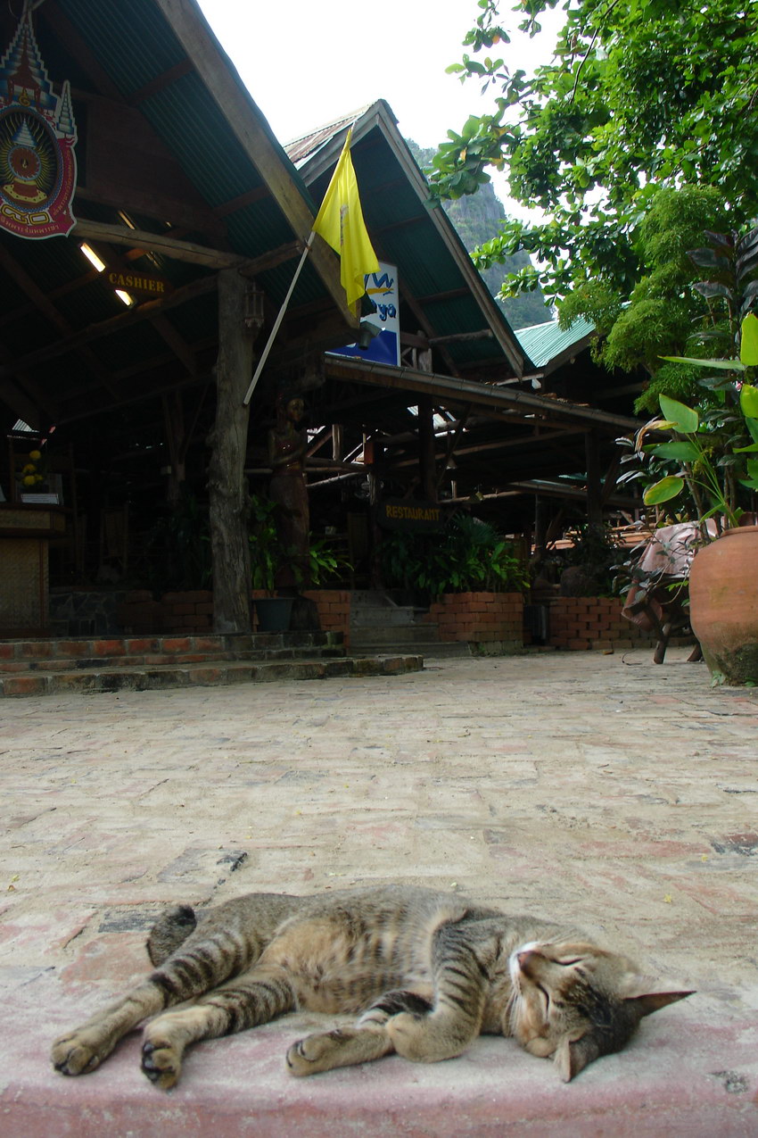 Railay beach cat