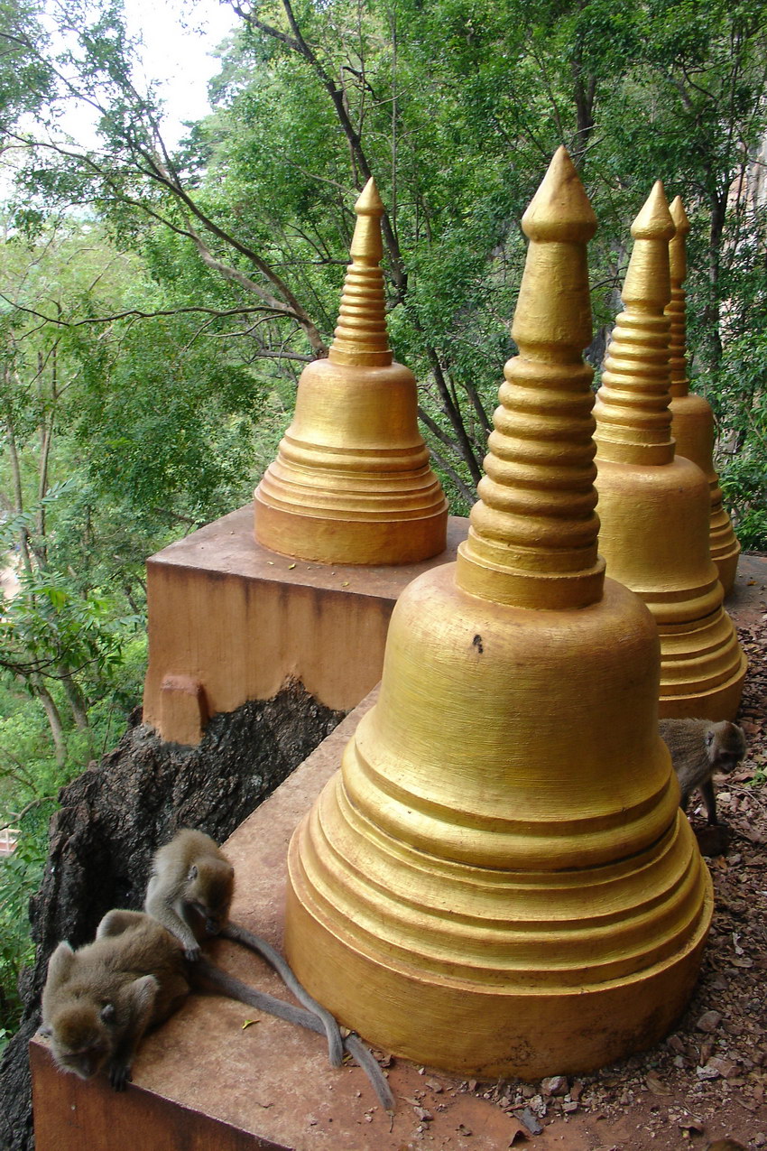 Monkeys at Tiger Cave Temple