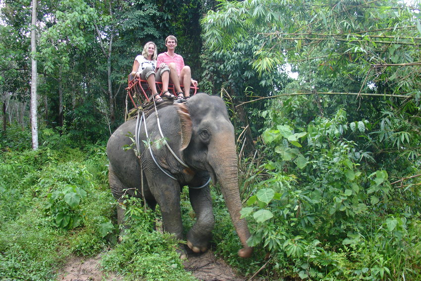 Elephant Trekking Ao Nang