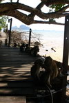 Thailand_Krabi_131.JPG