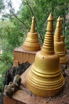 Monkeys at Tiger Cave Temple