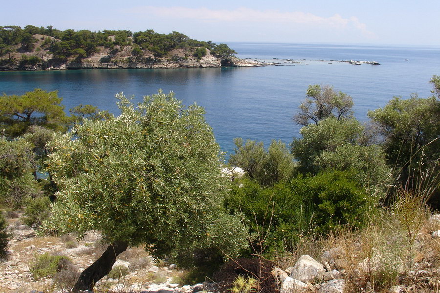 Poloostrov v Aliki.