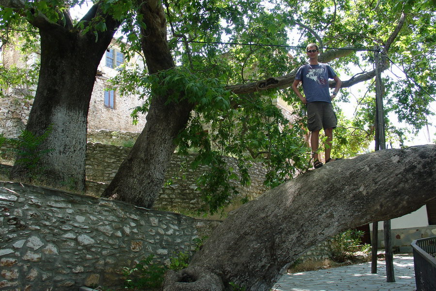 Sotiros - Thassos - Greece.