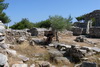 Thassos_080.JPG